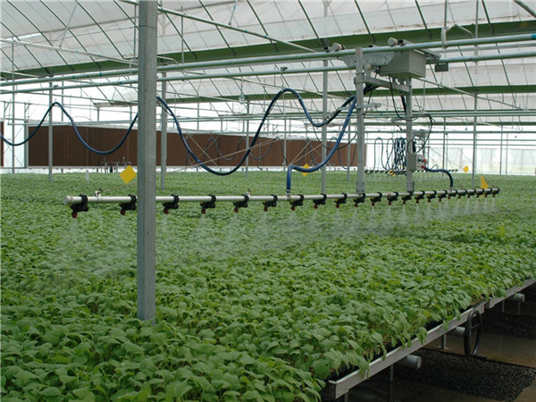 陝西博觀農業-有機肥，育苗基質案例展示